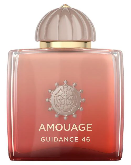 Guidance 46