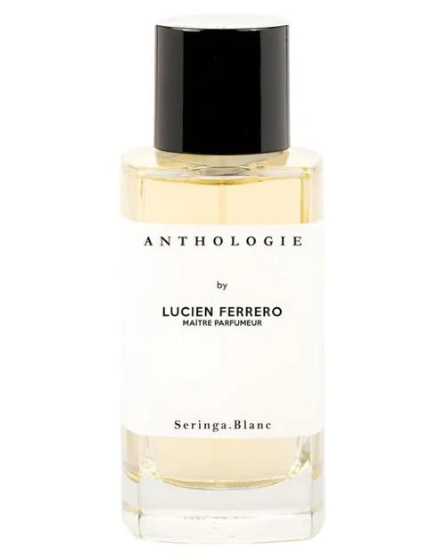 Seringa Blanc