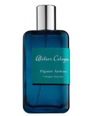 Figuier Ardent