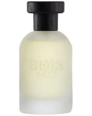 Vetiver Ambrato