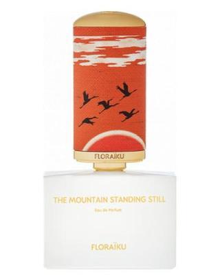 The Mountain Standing Still