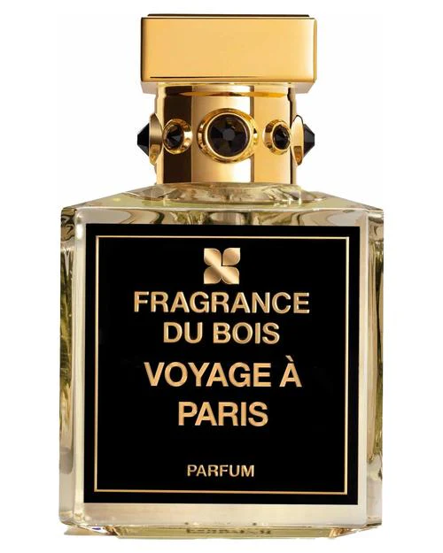 Voyage à Paris