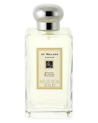 Orange Blossom