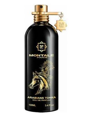 Arabians Tonka