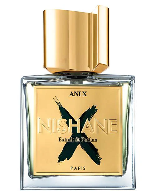 Ani X