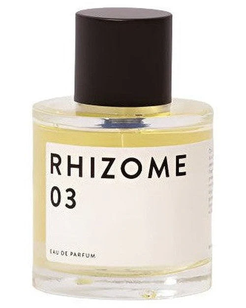 Rhizome 03