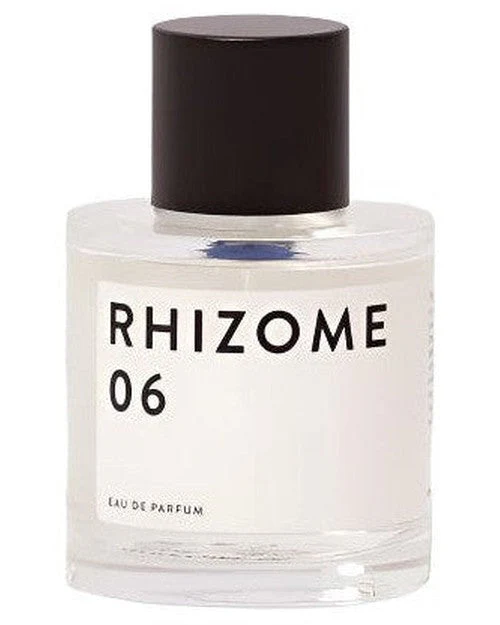 Rhizome 06